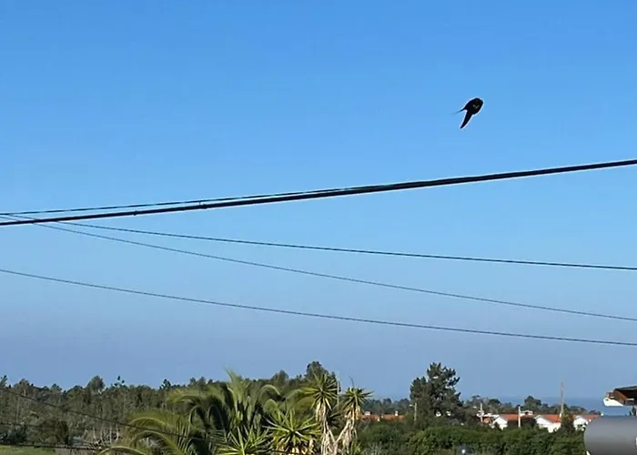 Casa Da - Malhadais * Одесейше