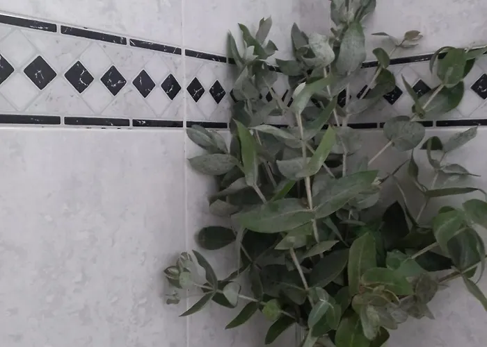 Casa Da - Malhadais Дом отдыха Одесейше