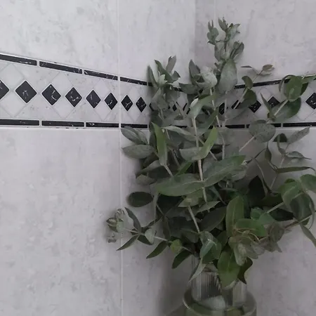 Casa Da - Malhadais Ferienhaus Odeceixe